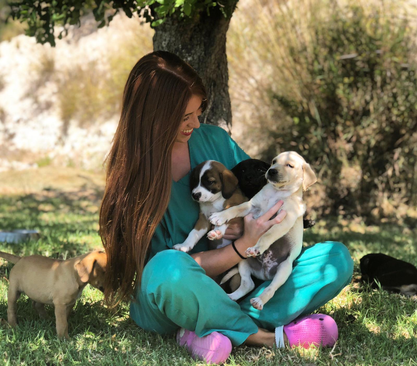Veterinària Vet & Go Llevant